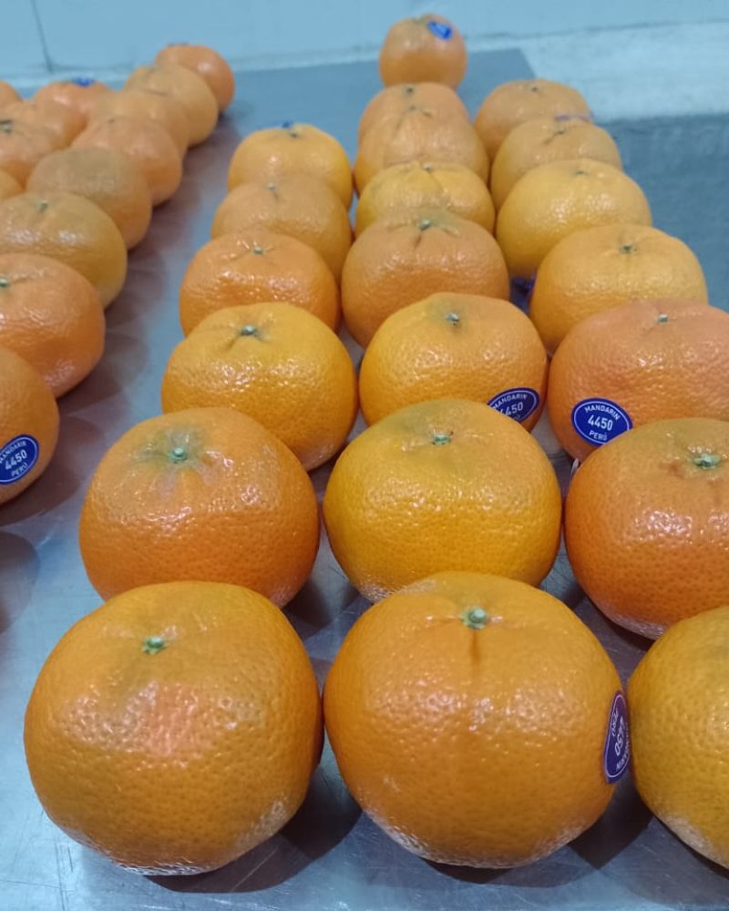 Mandarinas