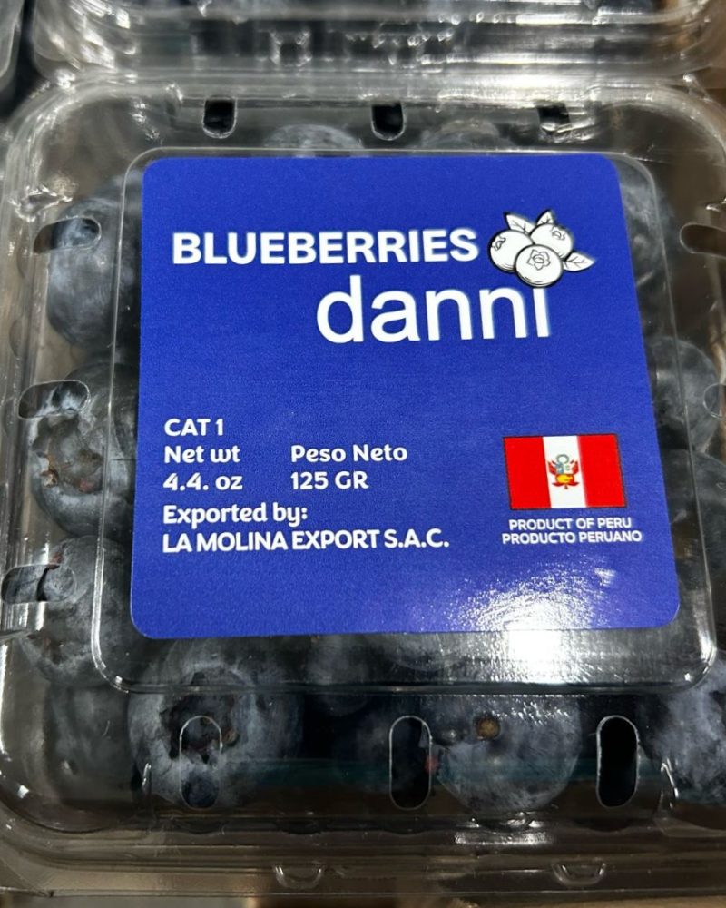 Arándanos