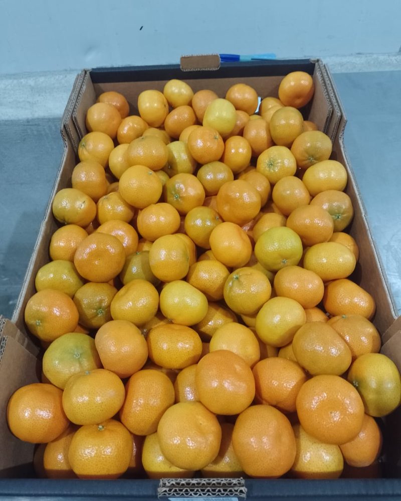 Mandarinas
