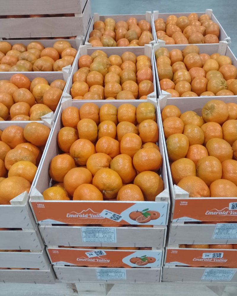 Mandarinas