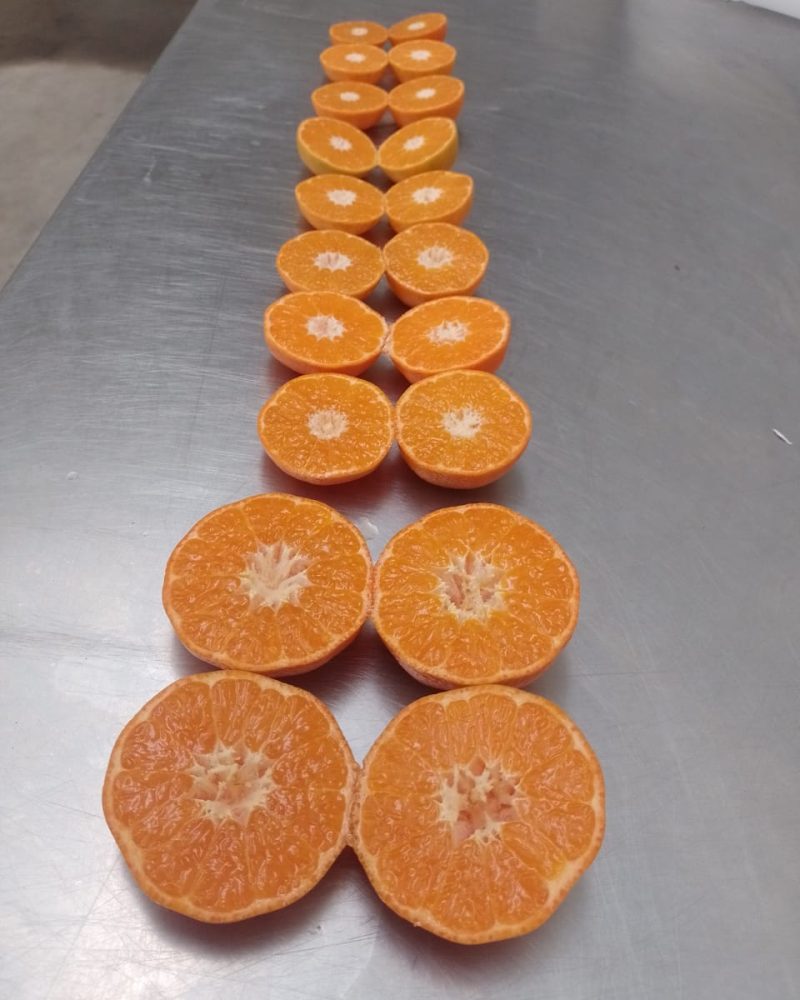 Mandarinas